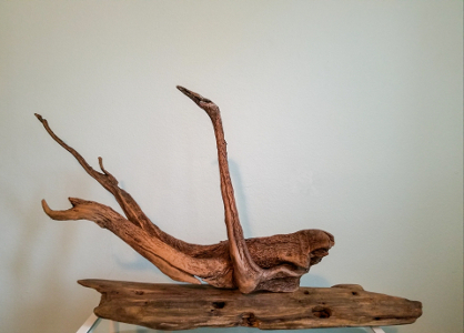 Heron - Heron in driftwood